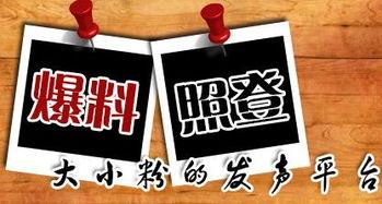 重庆新闻媒体爆料大全,聚焦城市热点,解码社会动态 第1张 重庆新闻媒体爆料大全,聚焦城市热点,解码社会动态 第1张