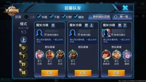 宣城王者爆料事件最新,揭秘背后真相与网络舆论的漩涡  第2张