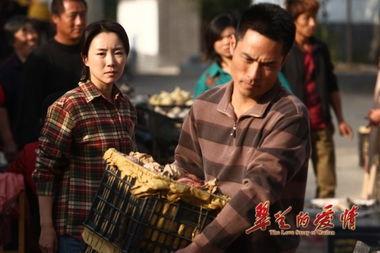 电视剧翠兰的爱情全集在线观看,穿越时空的浪漫传奇  第3张